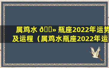 属鸡水 🌻 瓶座2022年运势及运程（属鸡水瓶座2022年运势及运程详解）